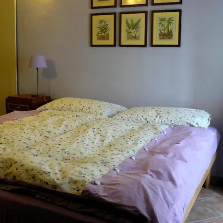 Uva Fragola Bed & Breakfast Pettinengo